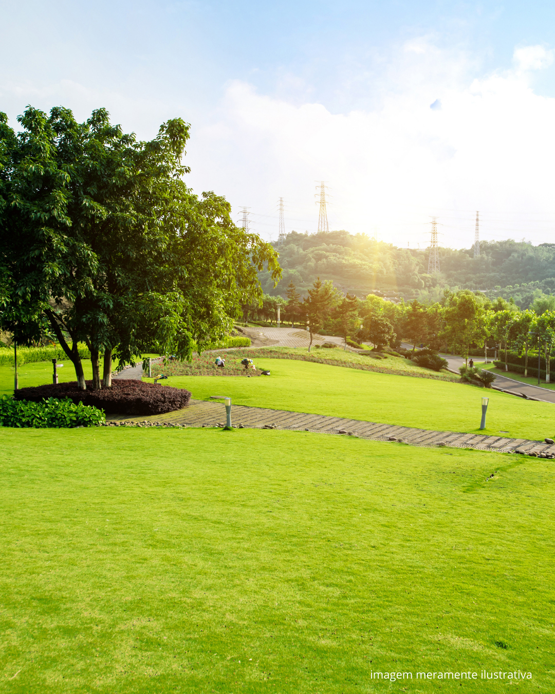 TERRENO DE CAMPO - SOLANEA/PB